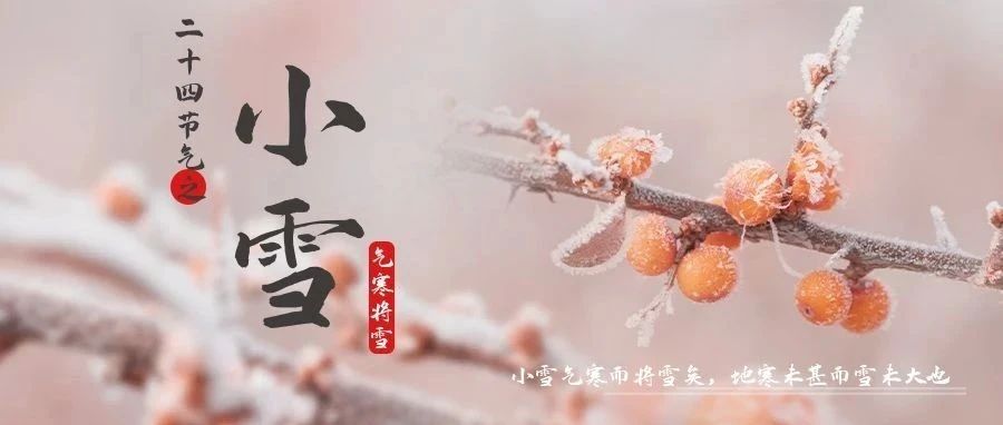 今日，小雪！